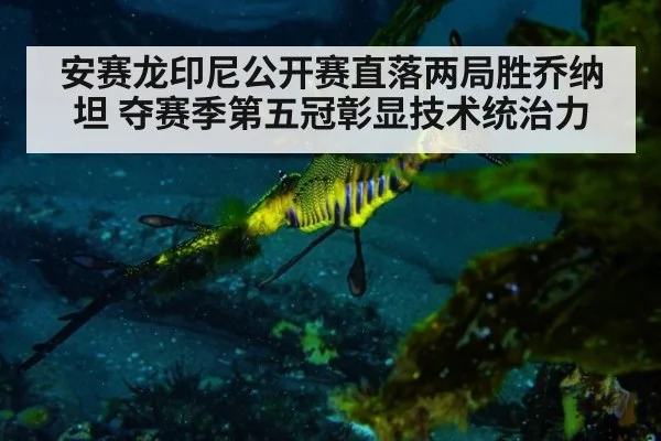 安赛龙印尼公开赛直落两局胜乔纳坦 夺赛季第五冠彰显技术统治力