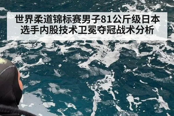 世界柔道锦标赛男子81公斤级日本选手内股技术卫冕夺冠战术分析