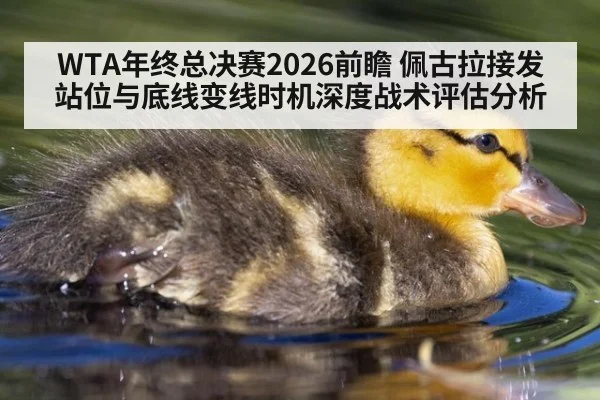 WTA年终总决赛2026前瞻 佩古拉接发站位与底线变线时机深度战术评估分析